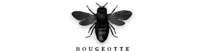 logo bougeotte