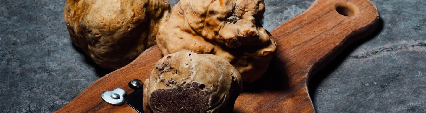 Persone sedute in cerchio in un giardino durante una sessione di focus group