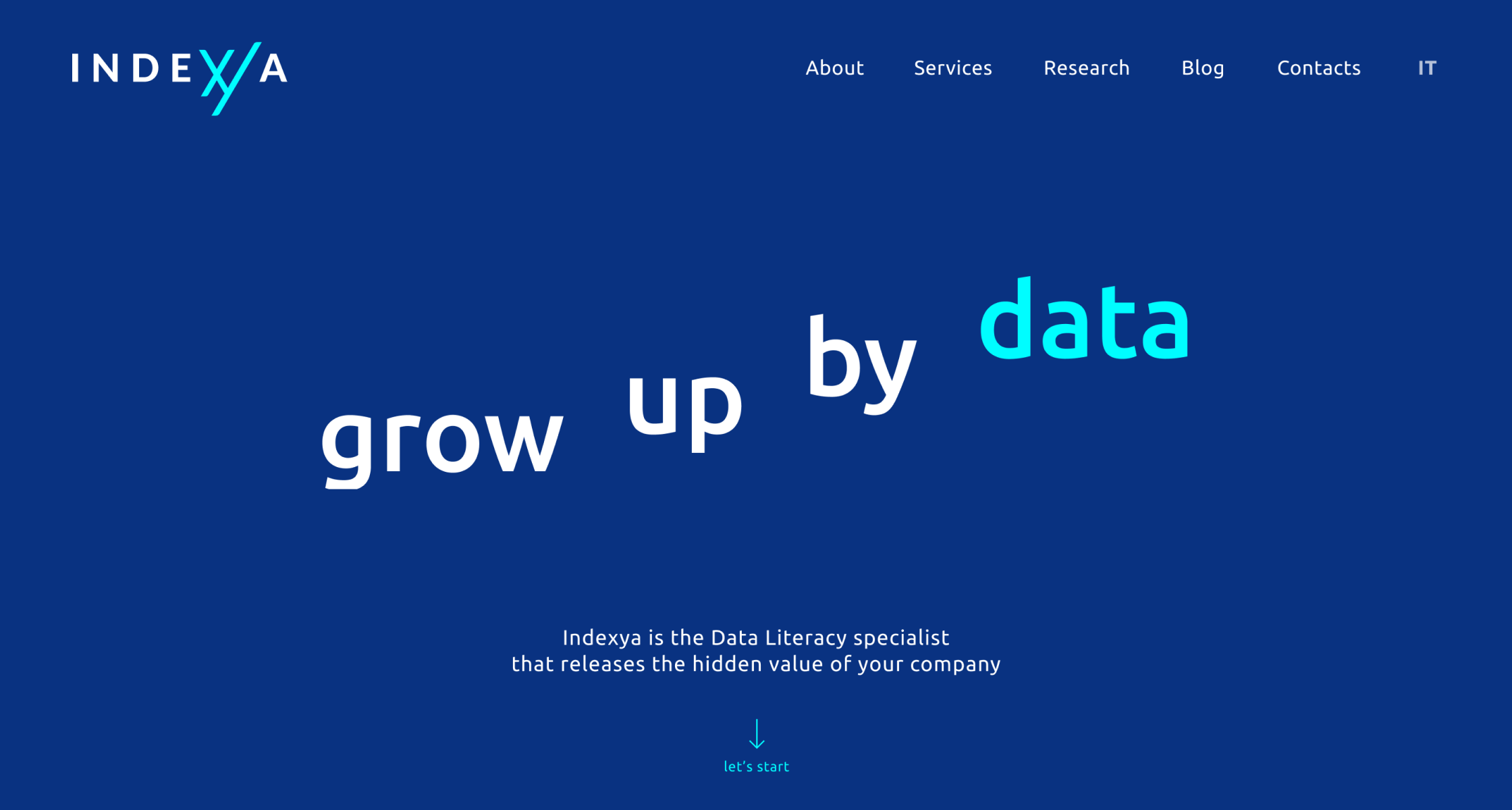 hedron design indexya website data literacy ui mockup